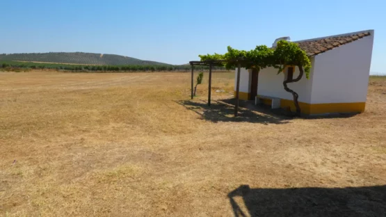 alentejo overview single house case where the real life begins