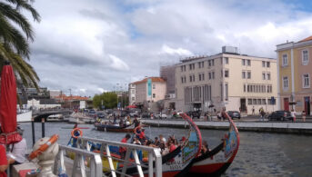 aveiro moliceiro boats tourists working barco molico seaweed canals ria atlantic ocean vouga river venice portugal