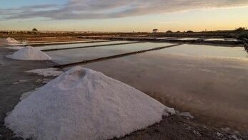 aveiro salinas salt atlantic ocean wonder fleur de sel silver coast portugal