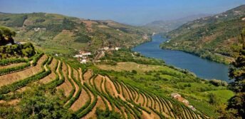 Terraces douro valley travel through the north of portugal unesco classified {{brizy_dc_image_alt imageSrc=