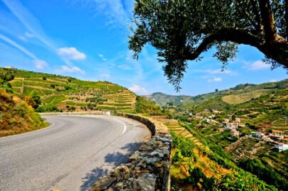 Douro Valley road N222 travel through the north of Portugal wonderful trip impressive landscape views