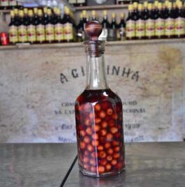 a ginjinha ginja portuguese famous cherry liqueur licor liquor sour aguardente alcohol shot fruit