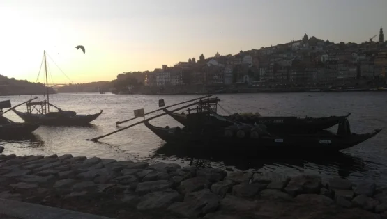 porto vila nova da gaia sunset view douro river