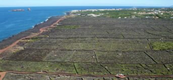 The best Portuguese wines and wine regions Azores vineyard air overview island {{brizy_dc_image_alt imageSrc=