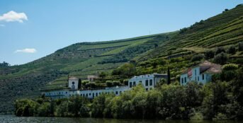 The best Portuguese wines and wine regions Douro valley terraces vineyards unesco river side {{brizy_dc_image_alt imageSrc=