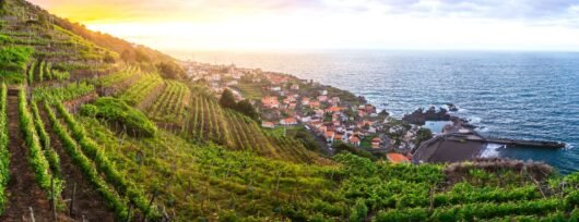 The best Portuguese wines and wine regions Madeira island DOC vineyard atlantic ocean landscape overview {{brizy_dc_image_alt imageSrc=