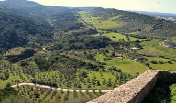 The best Portuguese wines and wine regions Peninsula de Setúbal vineyards landscape overview {{brizy_dc_image_alt imageSrc=