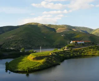 Tavora-Varosa wine region of the best Portuguese wines Douro valley central portugal {{brizy_dc_image_alt imageSrc=