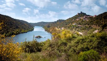 The best Portuguese wines and wine regions Tejo river Tagus central Portugal green nature vineyards {{brizy_dc_image_alt imageSrc=