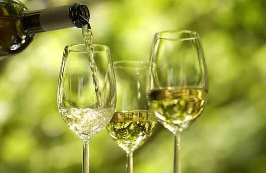 Best portuguese wines and wine regions vinho verde minho north portugal {{brizy_dc_image_alt imageSrc=