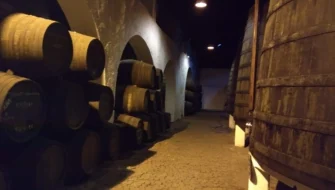 port wine lodge barrels cellar porto vinho fortified famous north portugal douro valley river