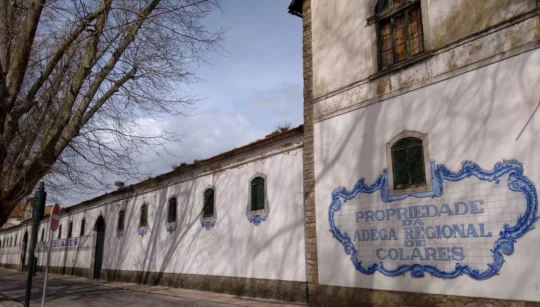 sintra adega regional de colares building portugal winery wine doc lisbon district