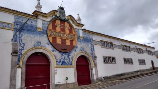 sintra colares wine cave lodge azulejos blue tiles adega regional