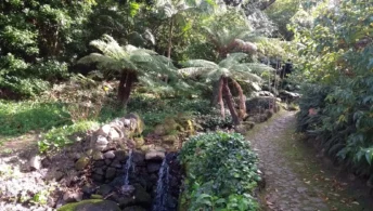 sintra summer residence monserrate exotic garden park jardim portugal