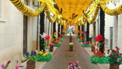 tomar templar city ribatejo flower color street decoration july tabuleiros festival